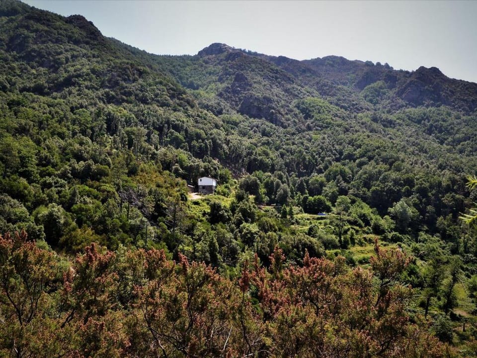 Bungalow Sestri Levante near Forest Sea Vacation rental in Liguria