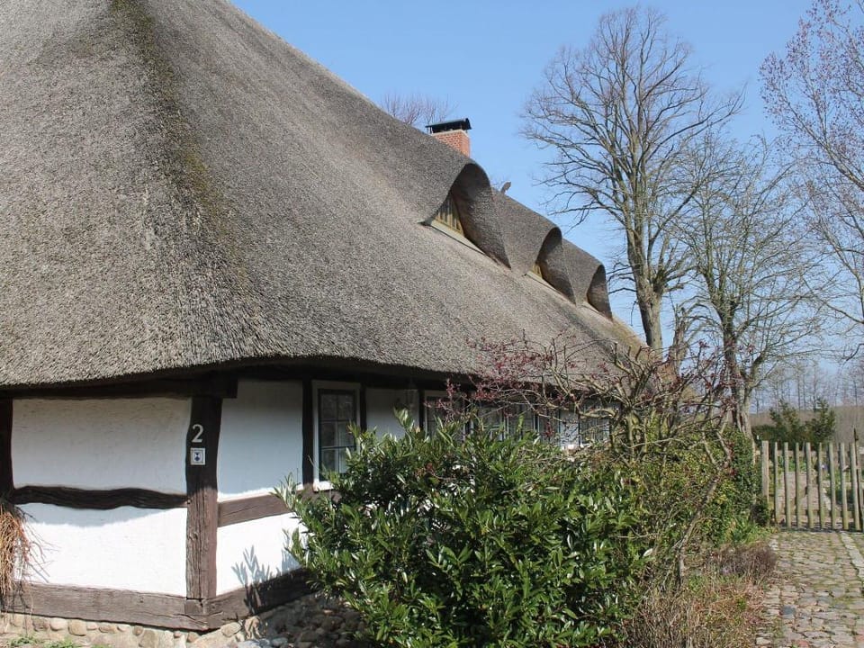 Ferienwohnung in Reddelich for 4 Personen Apartment in Mecklenburg-Vorpommern, Germany