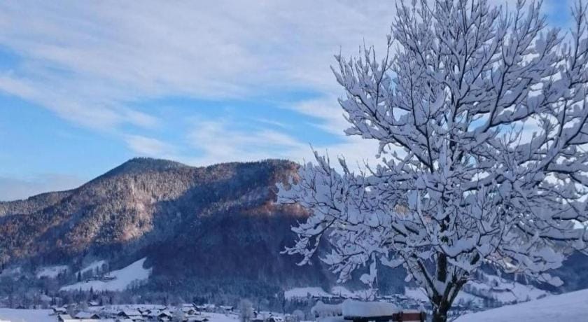 Ferienwohnung in den Ruhpoldinger Bergen Apartment in Ruhpolding