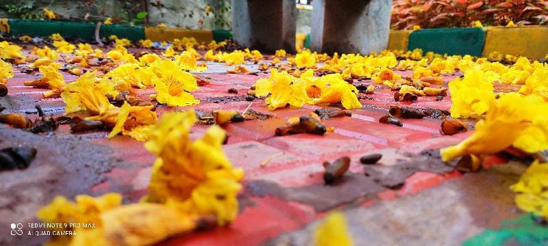 TOTADA Mane home stay Vacation rental in Karnataka