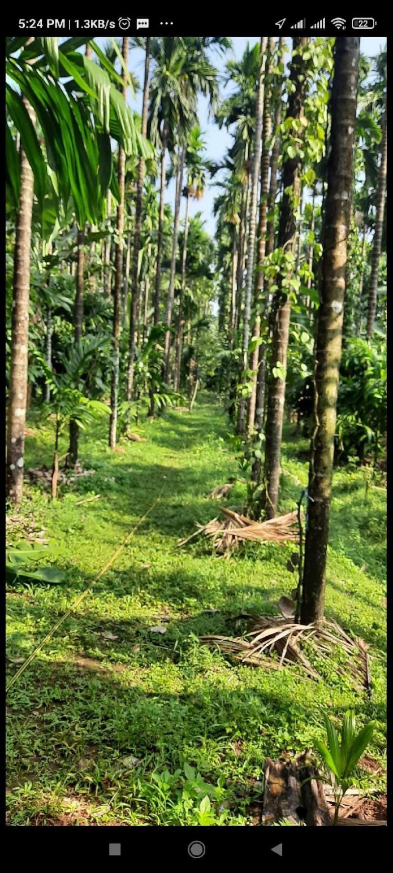 TOTADA Mane home stay Vacation rental in Karnataka
