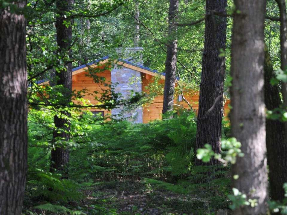 Chalet in Oignies with Wooded Surroundings Vacation rental in Wallonia, Belgium