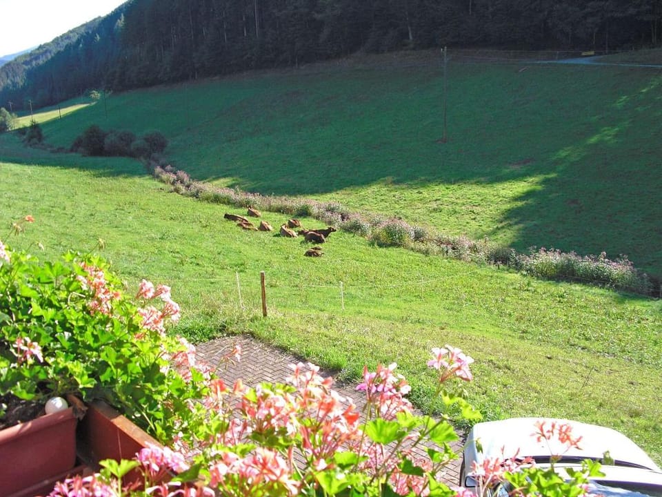 Farmhouse Escape in Hofstetten Apartment in Ortenau