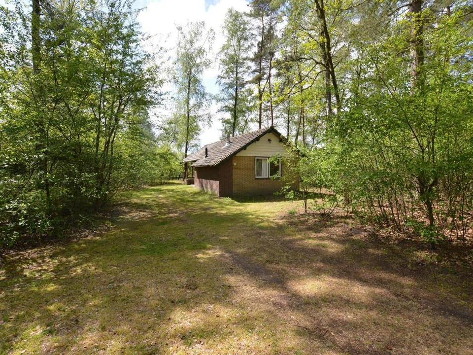 Romantic Forest Retreat with Sauna Vacation rental in Limburg (province)