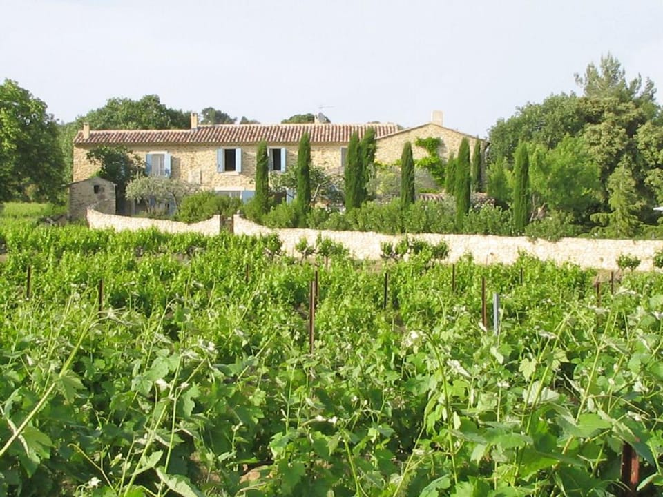 Mansion in Vaison-la-Romaine with Private Pool Vacation rental in Provence-Alpes-Côte d'Azur