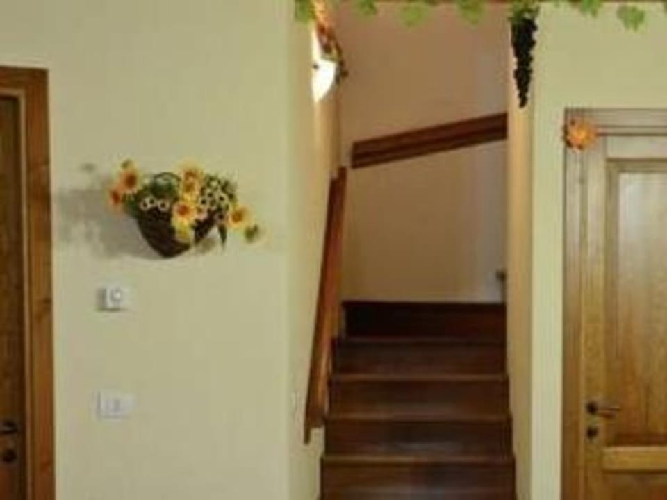 Pet-Friendly Retreat Vacation rental in Umbria
