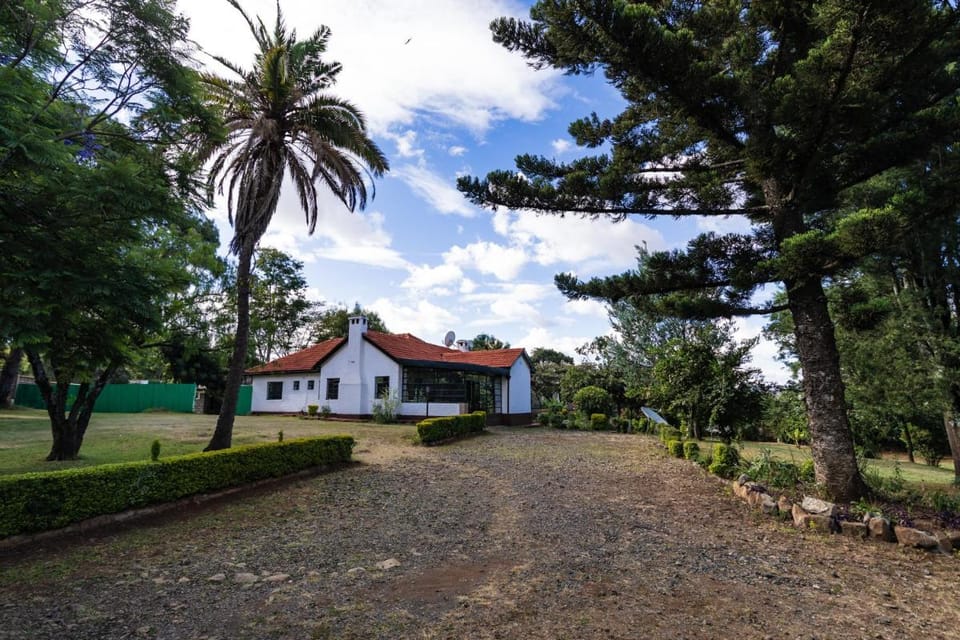 Eldopalm Guesthouse Bed and Breakfast in Kenya