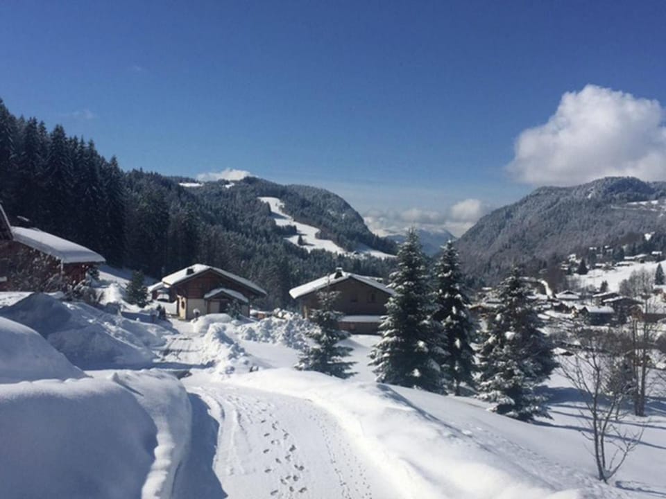 Chalet in Les Gets near Ski Bus  Sauna Vacation rental in Les Gets