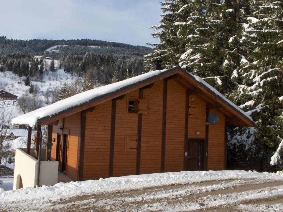 Chalet in Les Gets near Ski Bus  Sauna Vacation rental in Les Gets
