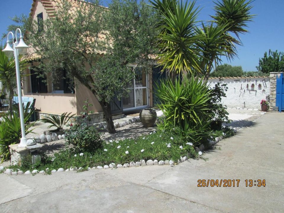 Spacious chalet on a plot of 4000m2 with fruit trees near the beach in Messinia Vacation rental in Messenia