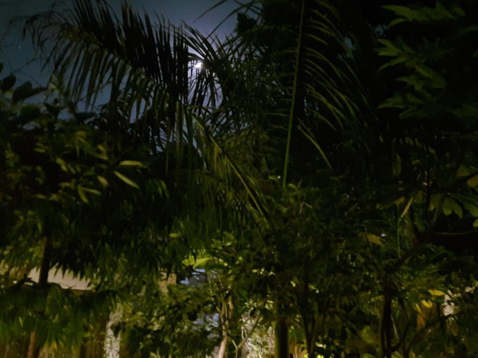Leisure 1 Aashirwad Jaipur Home Stay  Vacation rental in Jaipur
