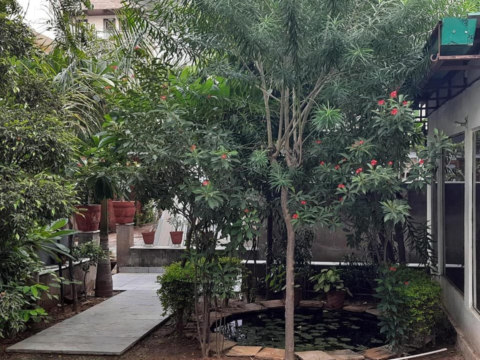 Leisure 1 Aashirwad Jaipur Home Stay  Vacation rental in Jaipur