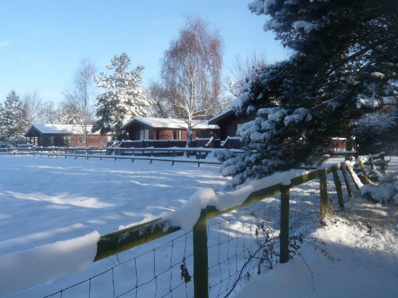 Cottage in Brookland with Private Sauna Vacation rental in Rother District