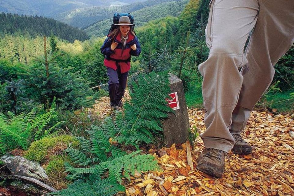 Group Stay in Brilon-Wald Vacation rental in Willingen