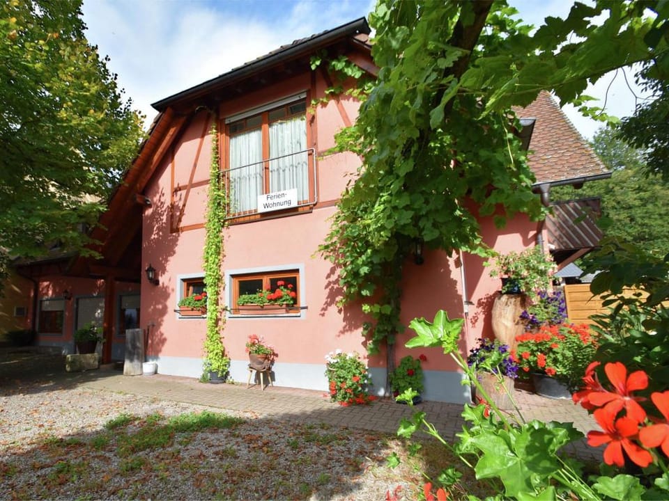 Family-Friendly Apartment Apartment in Freiburg