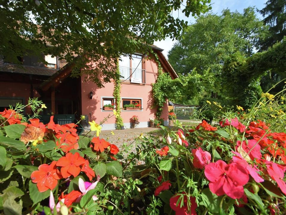 Family-Friendly Apartment Apartment in Freiburg