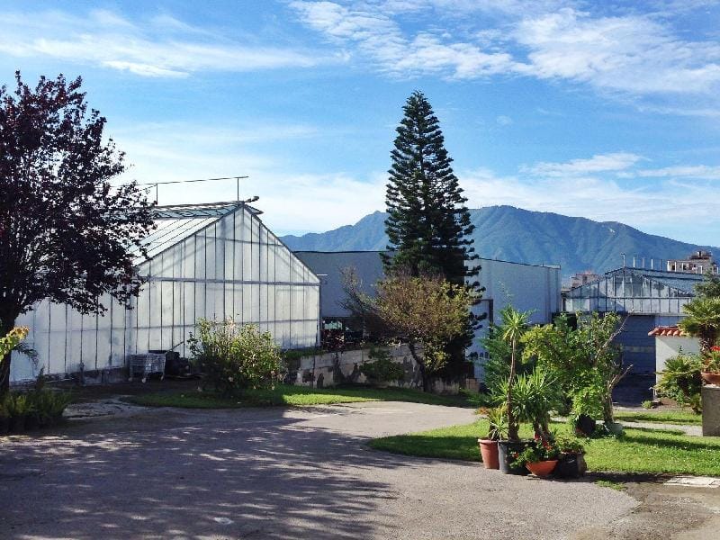 Belvilla by OYO Vesuvio Vacation rental in Campania