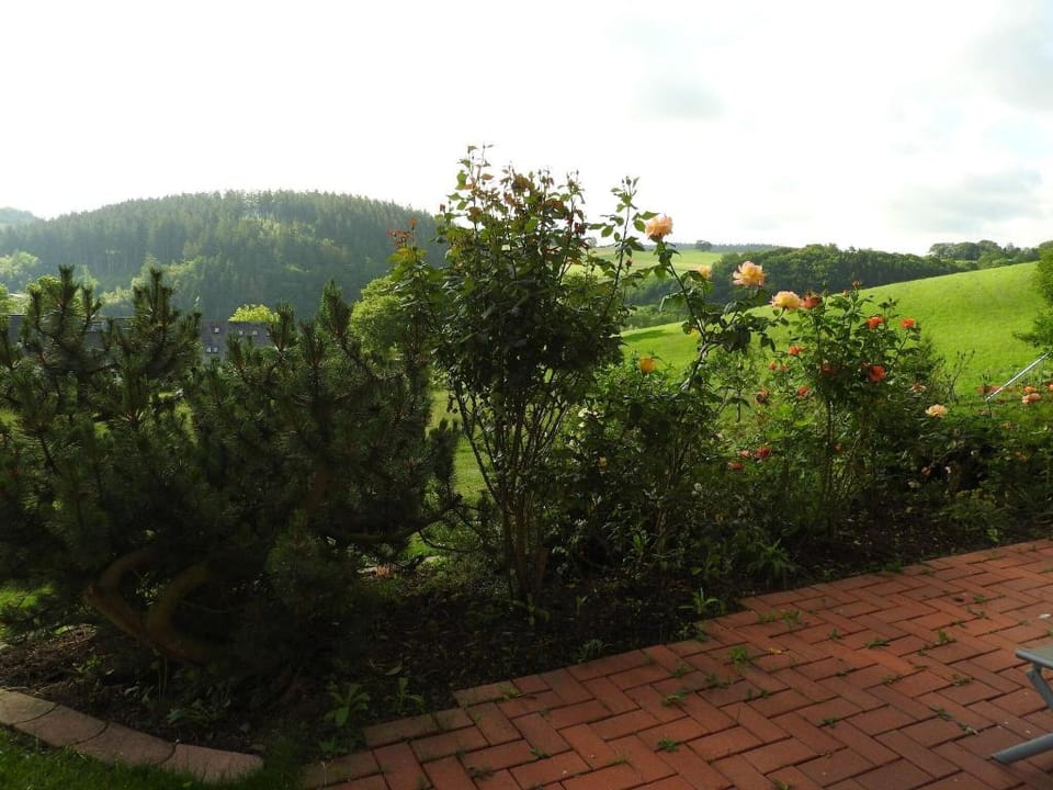 Deifeld Garden Terrace Stay Apartment in Medebach