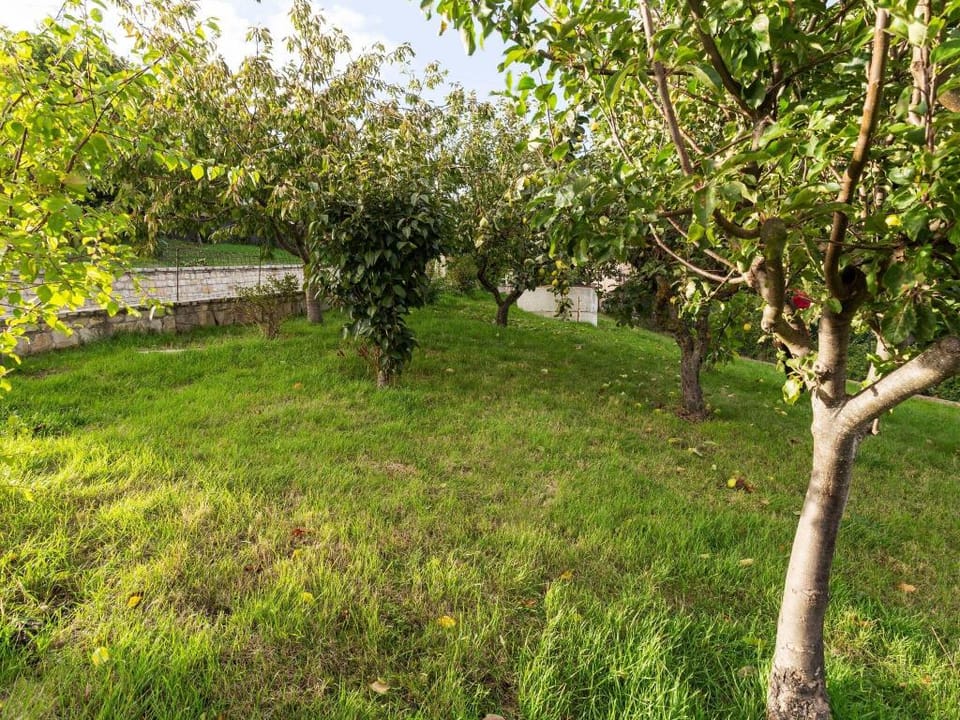 Belvilla by OYO Casa Vacanza BeCampobasso 6 Vacation rental in Molise, Italy
