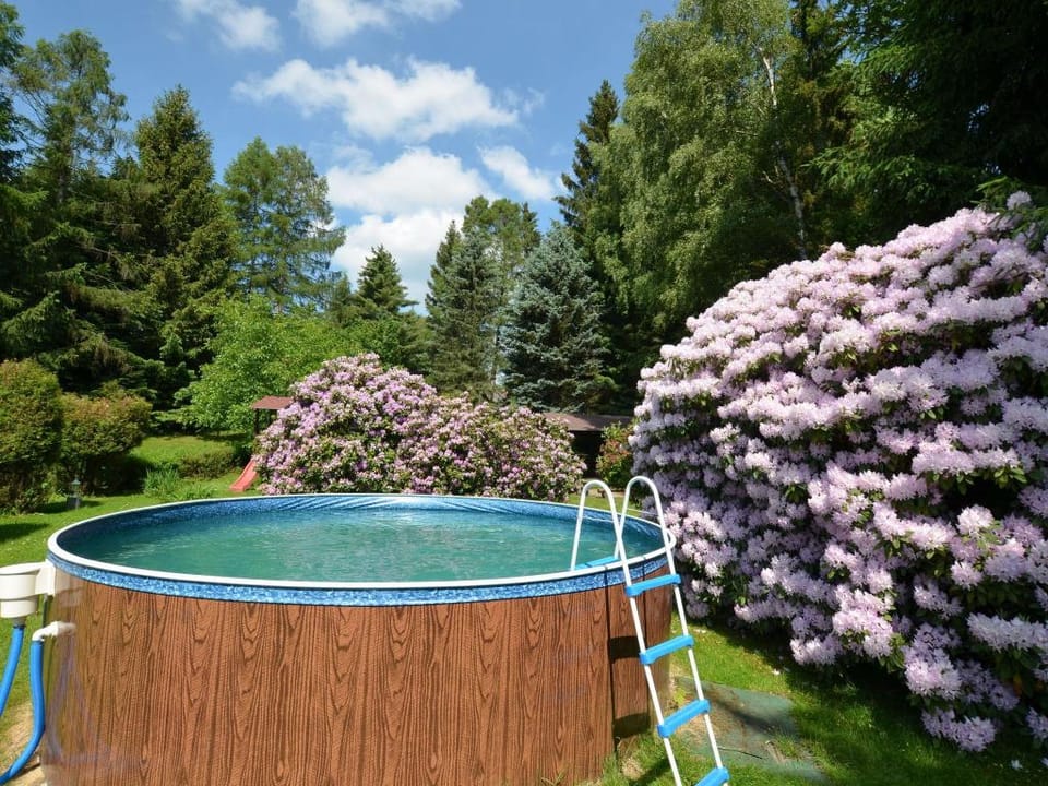 Forest Escape with Garden Vacation rental in Saxony
