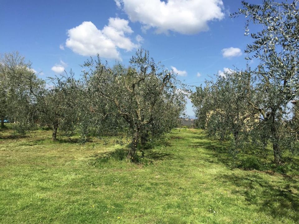 Tuscan Mansion getaway Vacation rental in Tuscany