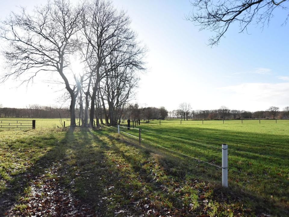 Rural holiday home with terrace Vacation rental in Drenthe (province)