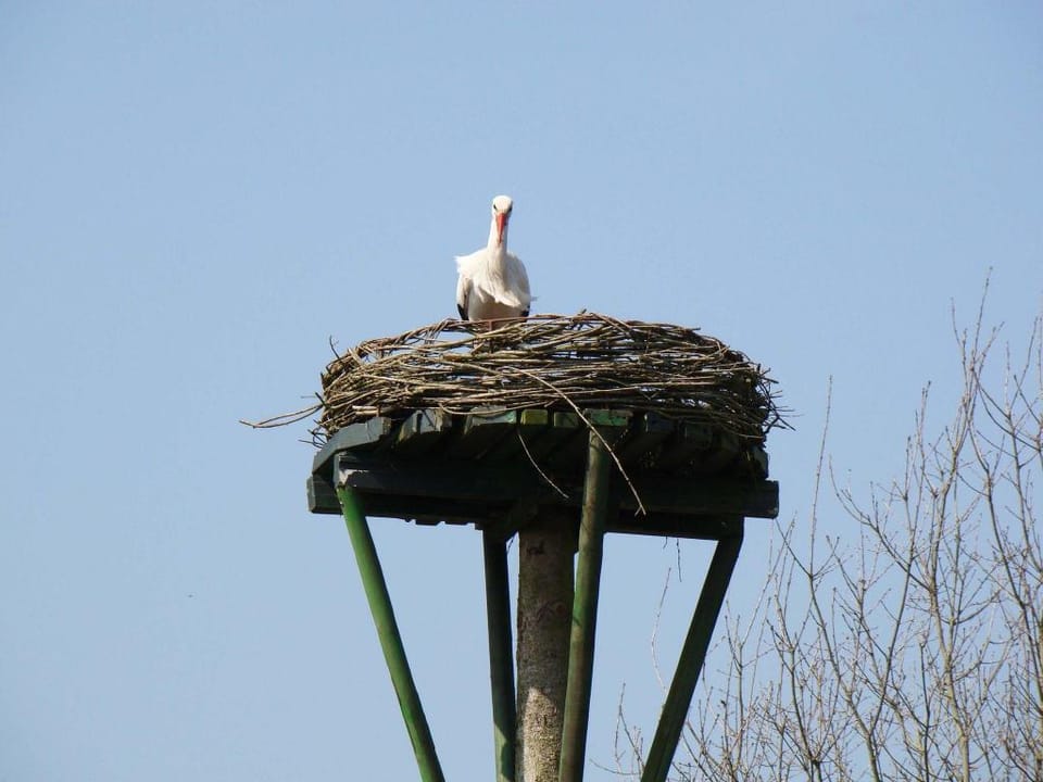 Rural holiday home with terrace Vacation rental in Drenthe (province)