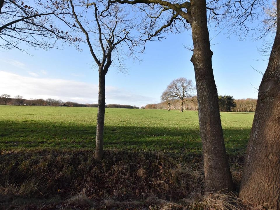 Rural holiday home with terrace Vacation rental in Drenthe (province)