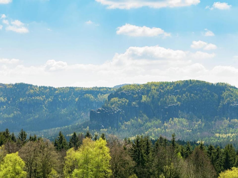 Gemutliches Ferienhaus in Sebnitz Vacation rental in Sächsische Schweiz-Osterzgebirge