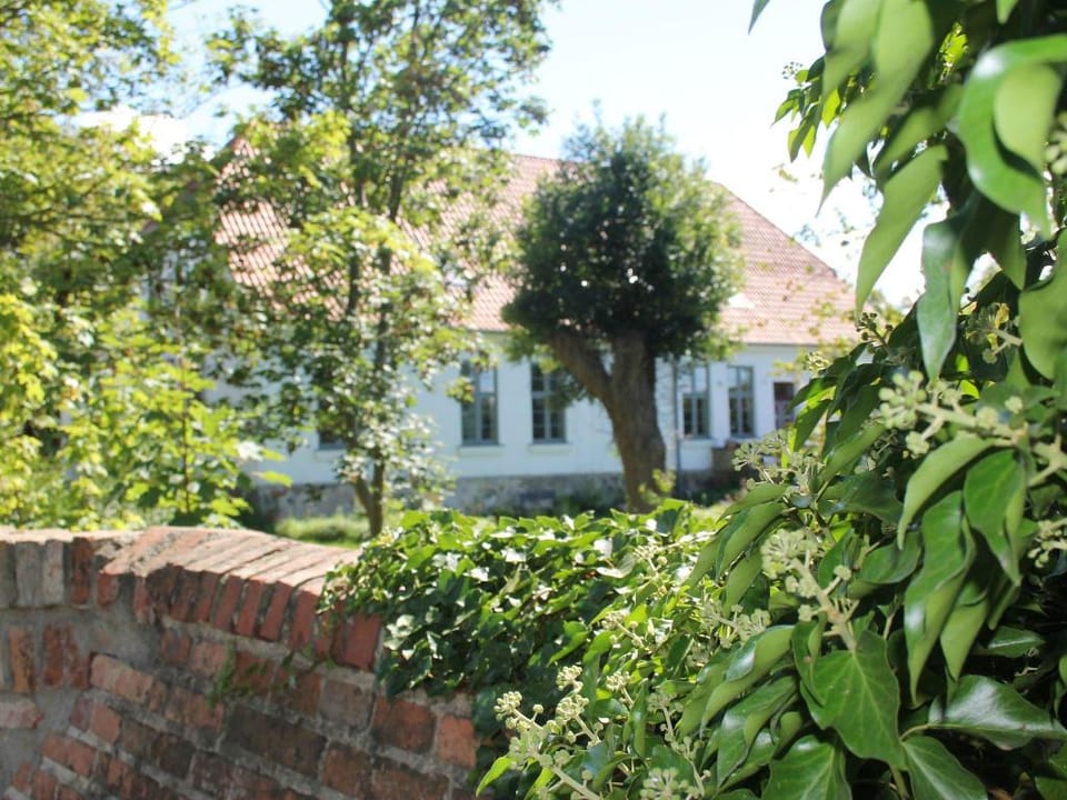Ferienwohnung in Steffenshagen mit Terrasse Apartment in Mecklenburg-Vorpommern, Germany