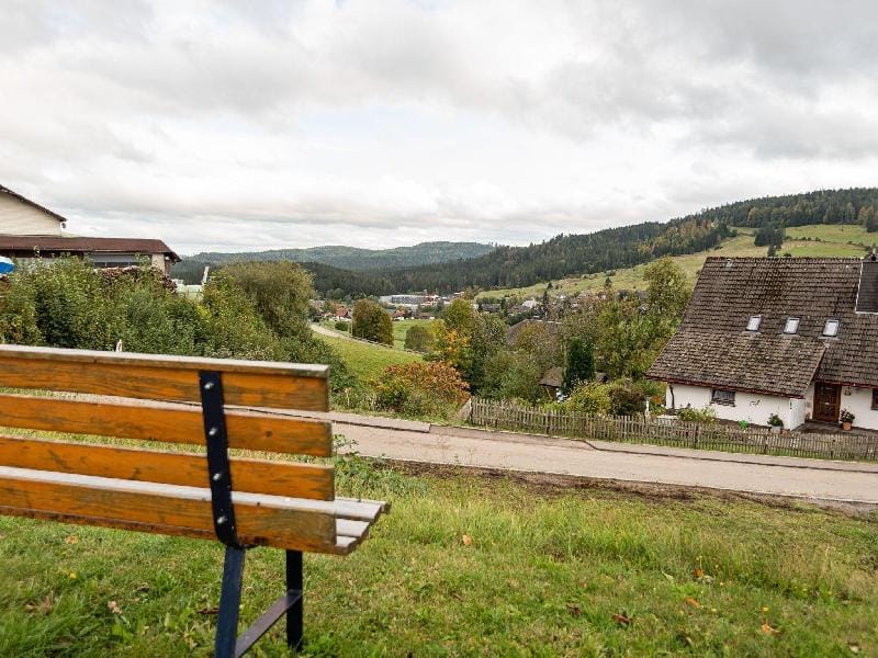 Ferienwohnung, Bernau Apartment in Baden-Württemberg