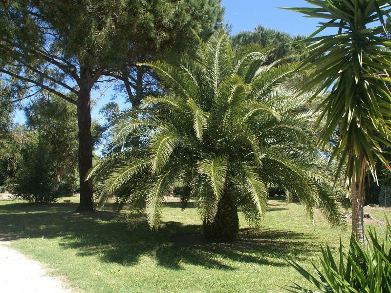 Holiday home near Pampelonne beach Vacation rental in Ramatuelle