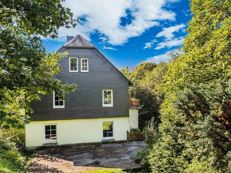 Ferienhaus in Willingen nahe Skigebiet Vacation rental in Willingen