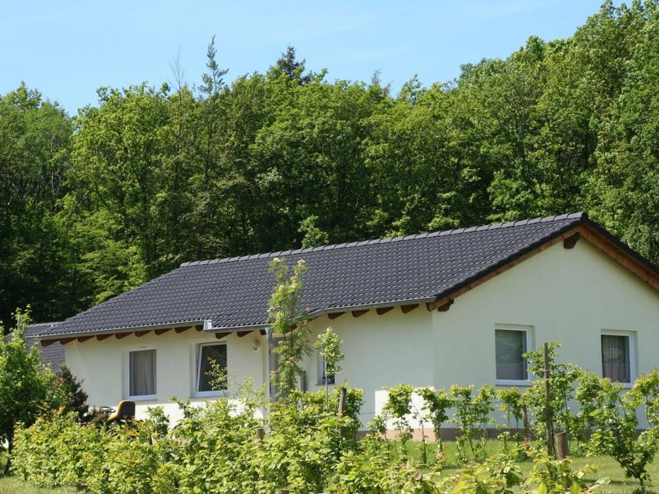 Bungalow near Eifel Ski Lift Vacation rental in Vulkaneifel