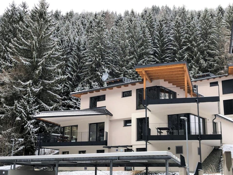 Premium apartment in ski area Bad Kleinkirchheim Apartment in Carinthia, Austria