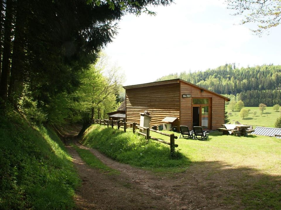 Holiday Home in Walscheid near Forest  Lakes Vacation rental in Grand Est