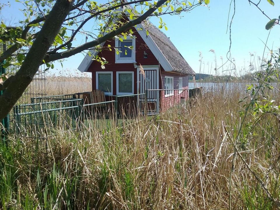 Bootshaus direkt am See Vacation rental in Mecklenburg-Vorpommern, Germany