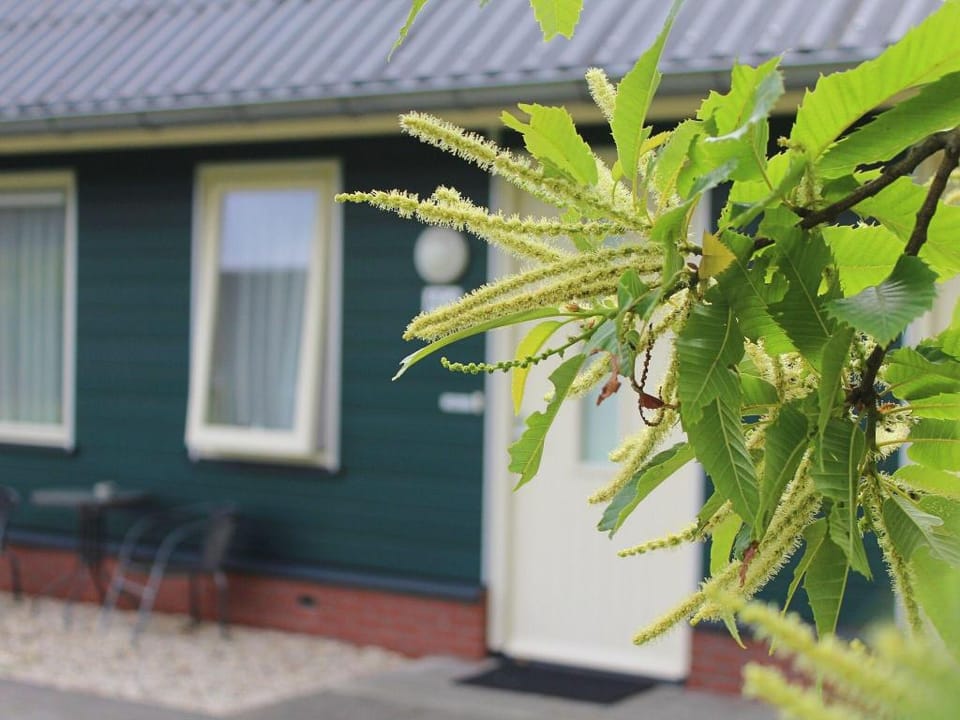Cozy Forest-Edge Home Vacation rental in Overijssel (province)