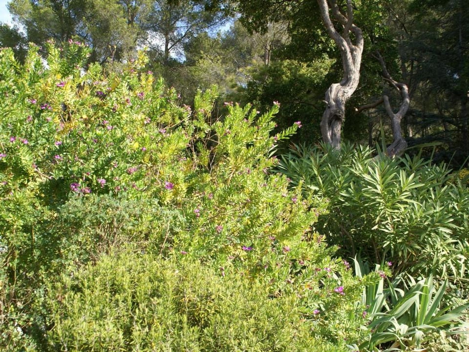 Holiday Home in Six-Fours near Beach Vacation rental in Six-Fours-les-Plages
