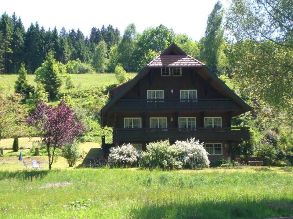 Hideaway near Black Forest Apartment in Ortenau