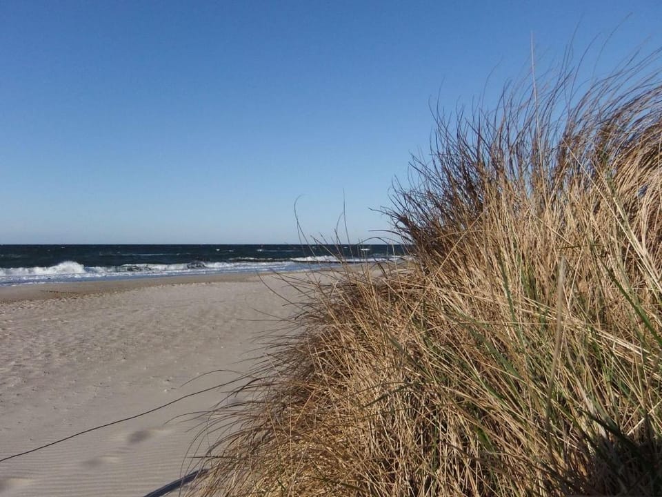 Gemutliches Bungalow an der Ostsee Vacation rental in Mecklenburg-Vorpommern, Germany