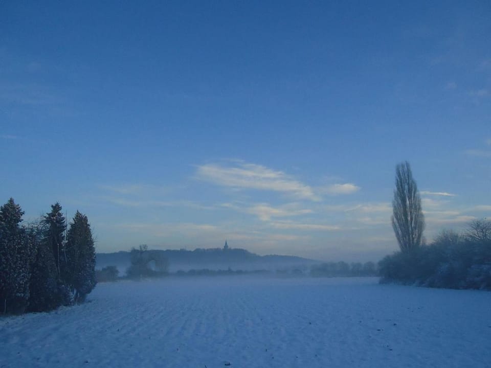 Holiday Home in Spijk with Meadow Views Vacation rental in Kleve