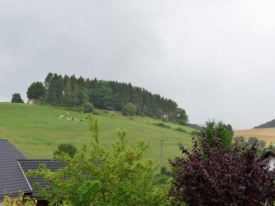 Wohnung in Heringhausen mit eigener Terrasse Apartment in Diemelsee