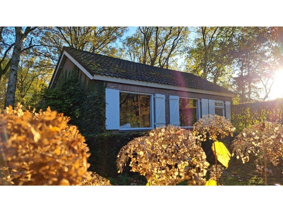 Villa in Vessem near Eindhoven Vacation rental in North Brabant (province)
