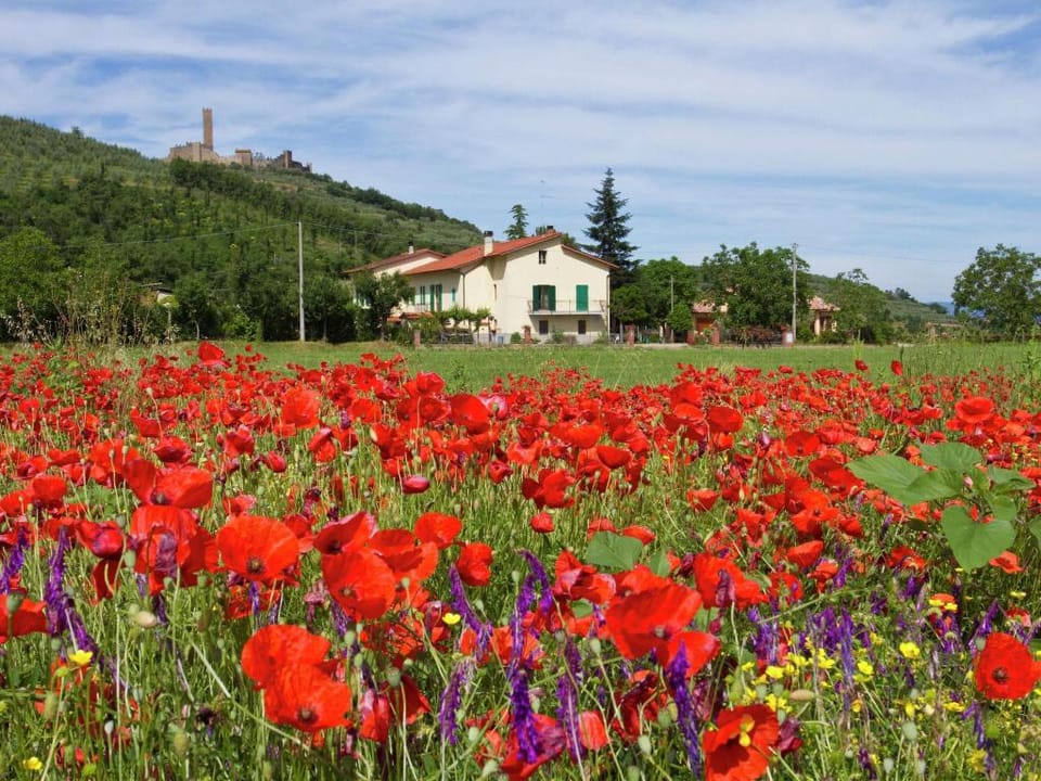 Serenity farmhouse in Castiglion Fiorentino Vacation rental in Umbria
