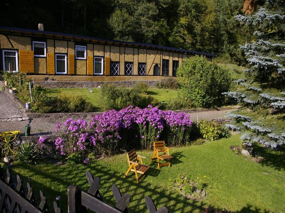 gemutliche Ferienwohnung in Kaifenheim Apartment in Cochem-Zell