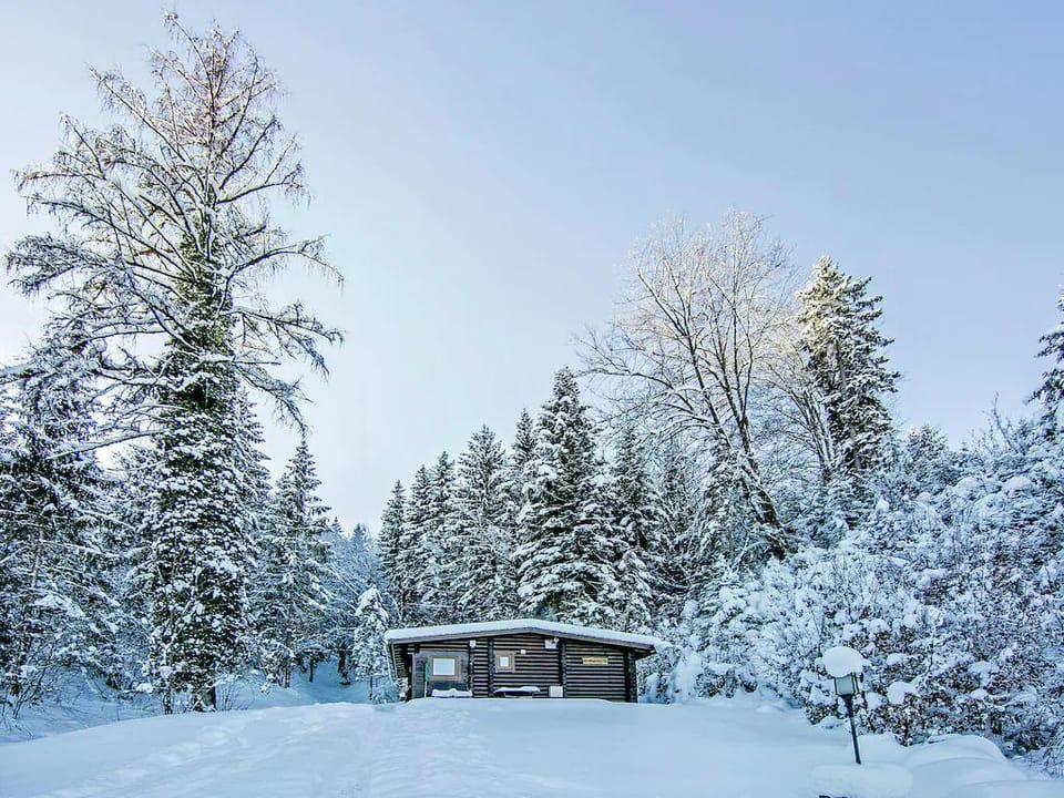 Amazing chalet in Tirol w/  Vacation rental in Salzburgerland