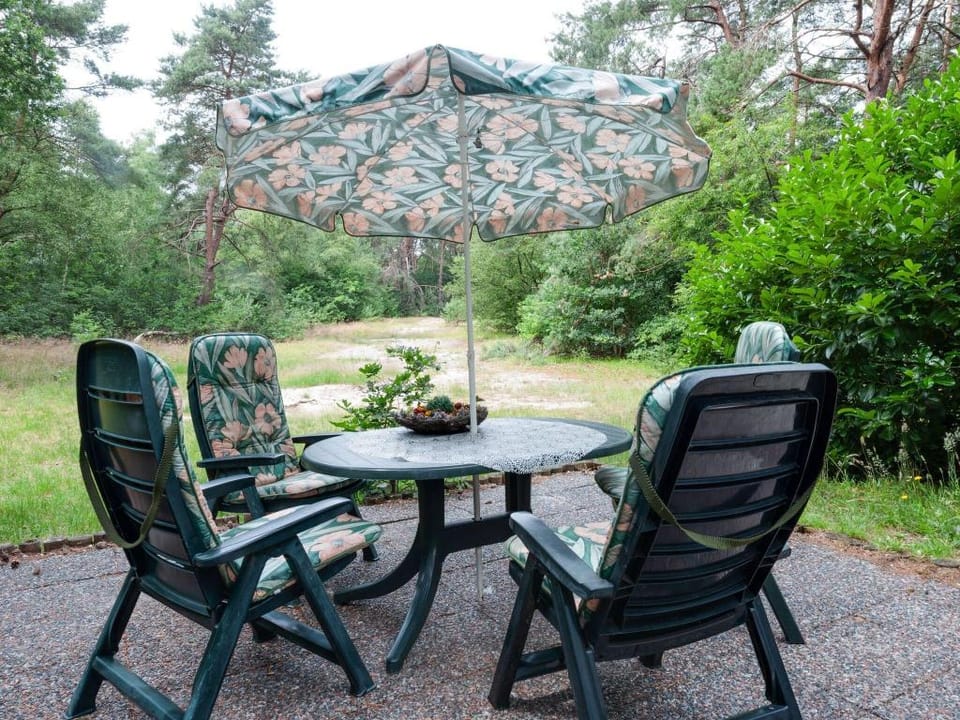 Holiday Home in Beerze near Forest Vacation rental in Overijssel (province)