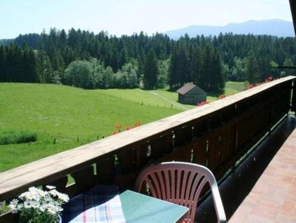 Alpiner Aufenthalt mit Balkon in Steingaden Vacation rental in Tyrol