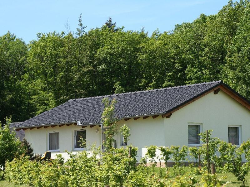 Bungalow in Eifel near Mountain Trails Vacation rental in Vulkaneifel